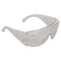 Visitors Safety Glasses - Clear