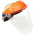 Striker Browguard Visor With Chinguard - Clear