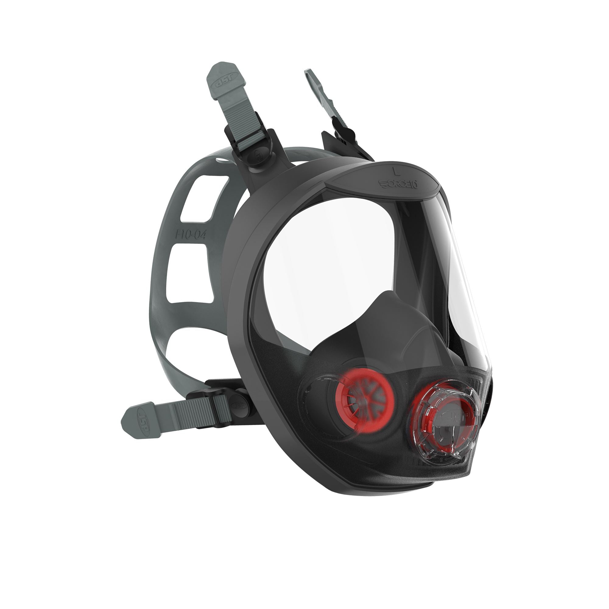 FT10 Full Face Mask Large