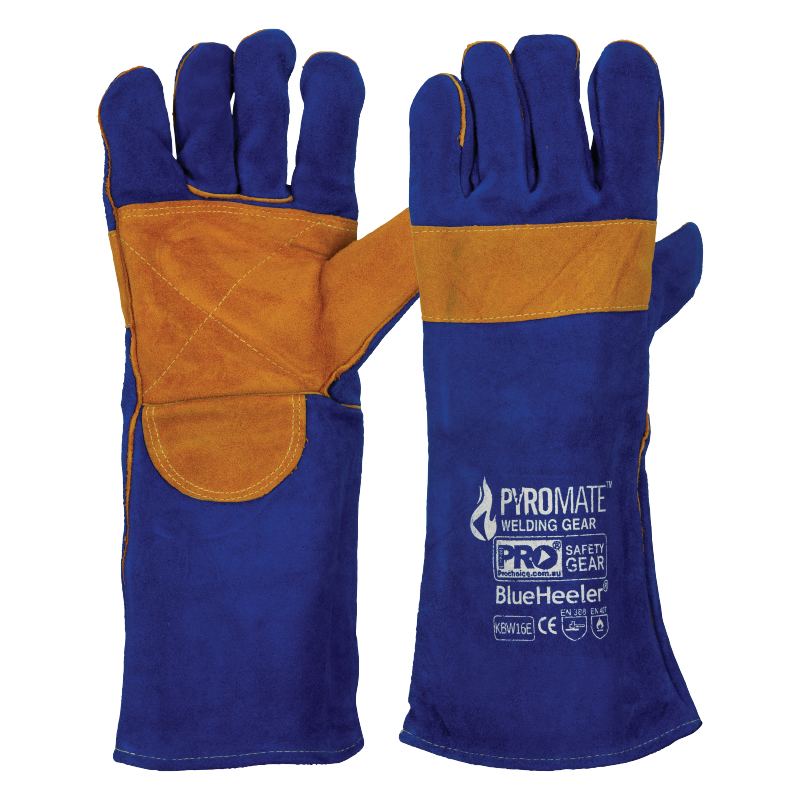 Pyromate Blue Heeler - Blue & Gold Large - Blue + Gold - Large